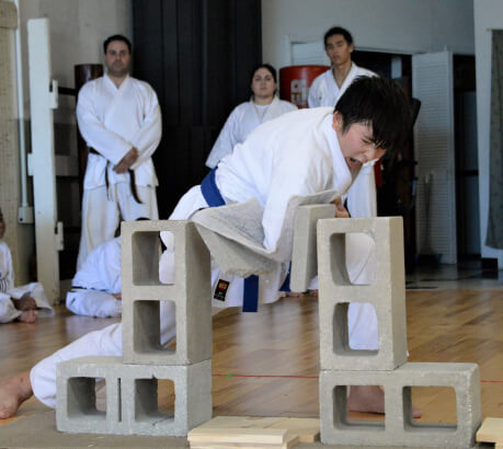 martial arts practices photo