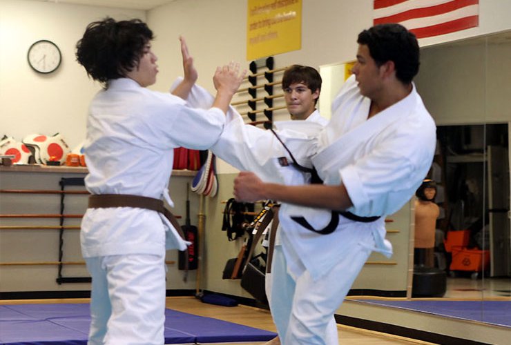 Karate for adults Class Photo