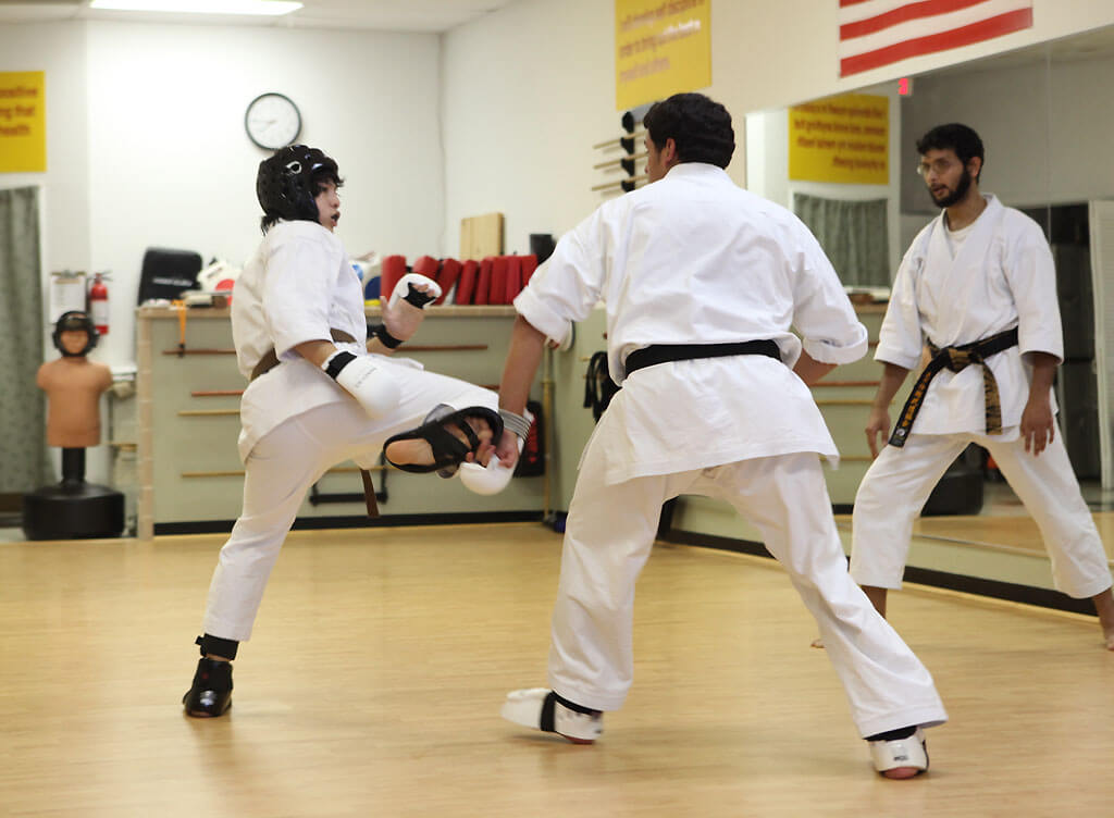 Shotokan Karate for Sr Class