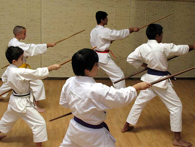 Okinawa Kobudo Classes in Kissimmee, St. Cloud & Orlando