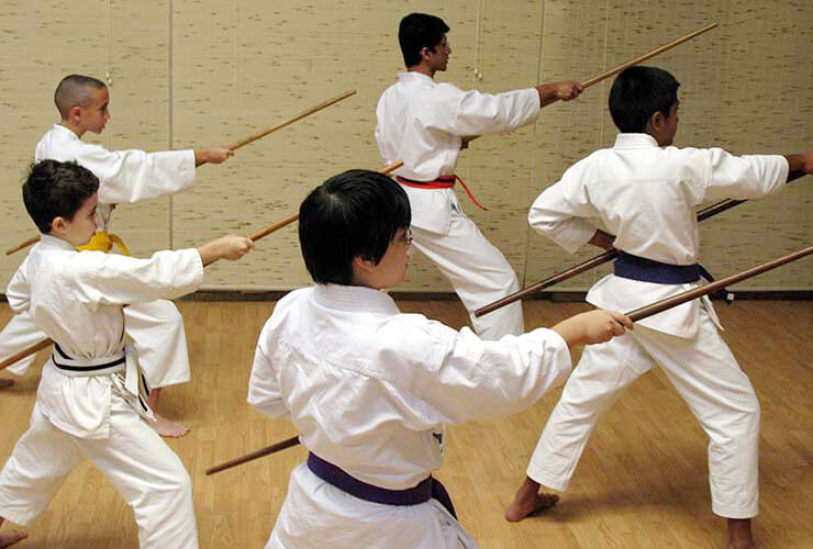 Okinawan Kobudo
