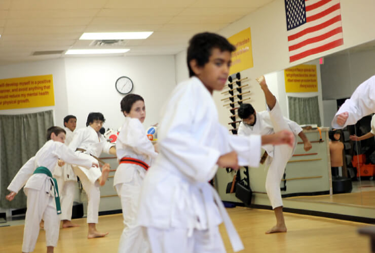 Shotokan Karate